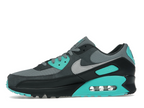 Nike Air Max 90 Cool Grey Dusty Cactus Black Wolf Grey