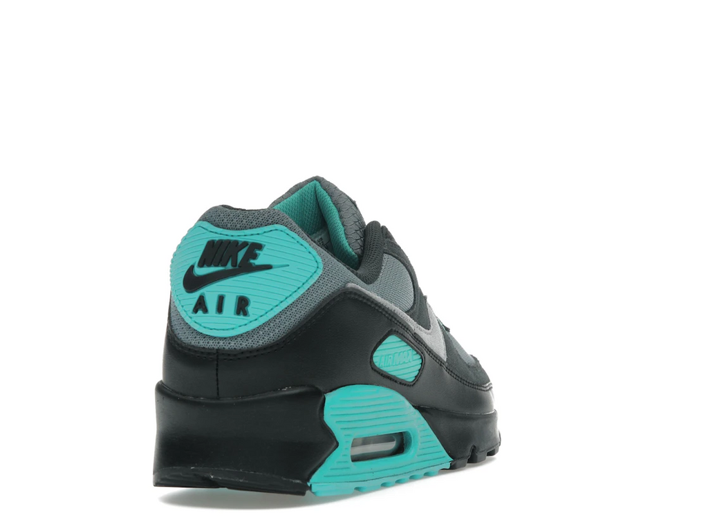 Nike Air Max 90 Cool Grey Dusty Cactus Black Wolf Grey
