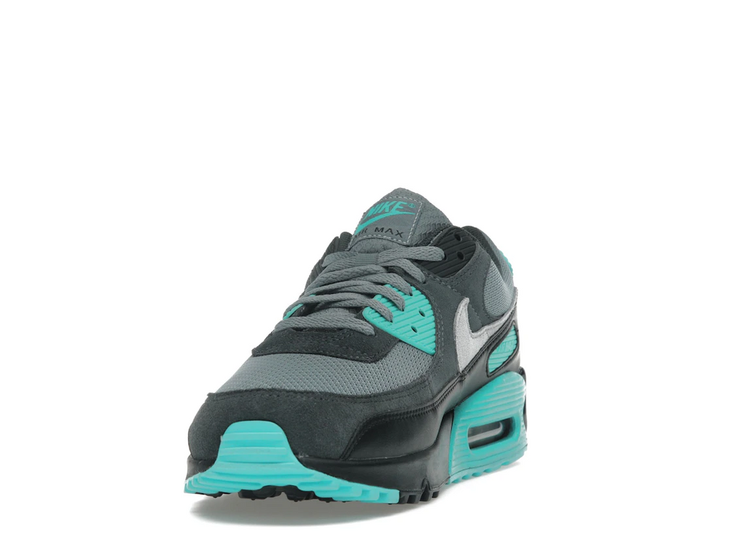 Nike Air Max 90 Cool Grey Dusty Cactus Black Wolf Grey