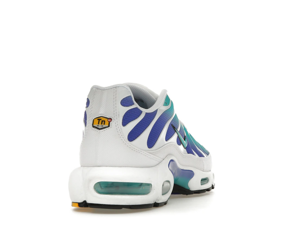 Nike Air Max Plus Aqua