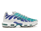 Nike Air Max Plus Aqua