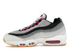 Nike Air Max 95 SB Cactus Flower