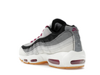 Nike Air Max 95 SB Cactus Flower