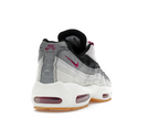 Nike Air Max 95 SB Cactus Flower