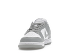 Nike Dunk Low Next Nature Light Smoke Grey (W)