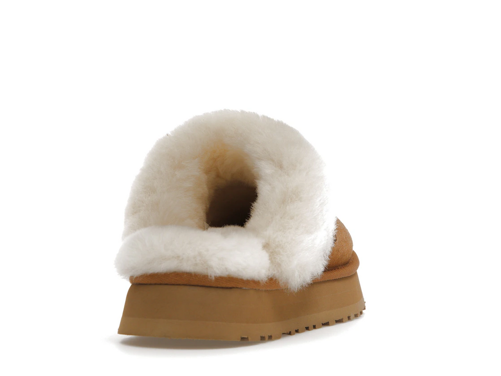 UGG Disquette Papuče Gaštanová (W)