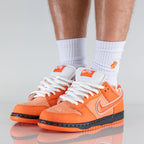 Nike SB Dunk Low Concepts Orange Lobster