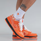 Nike SB Dunk Low Concepts Orange Lobster