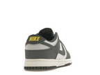 Nike Dunk Low Next Nature Iron Grey Lightning