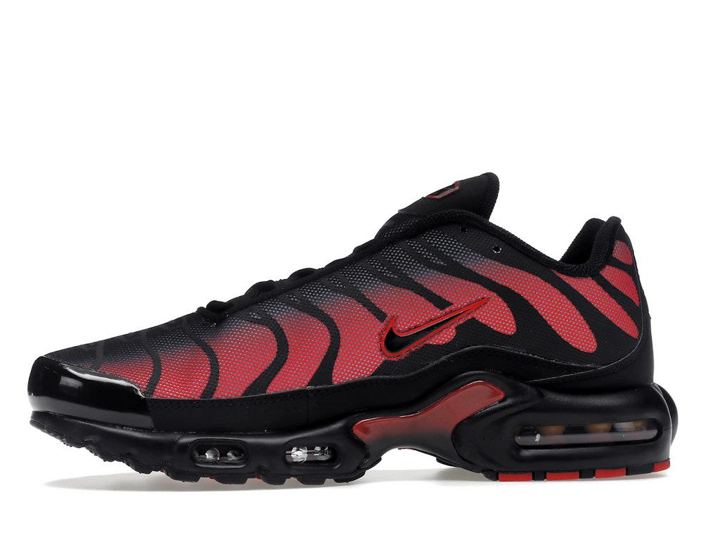 tenisky a boty Nike Air Max Plus Bred Reflective DZ4507-600 ADONIO