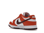 Nike Dunk Low Bronze Eclipse (W)