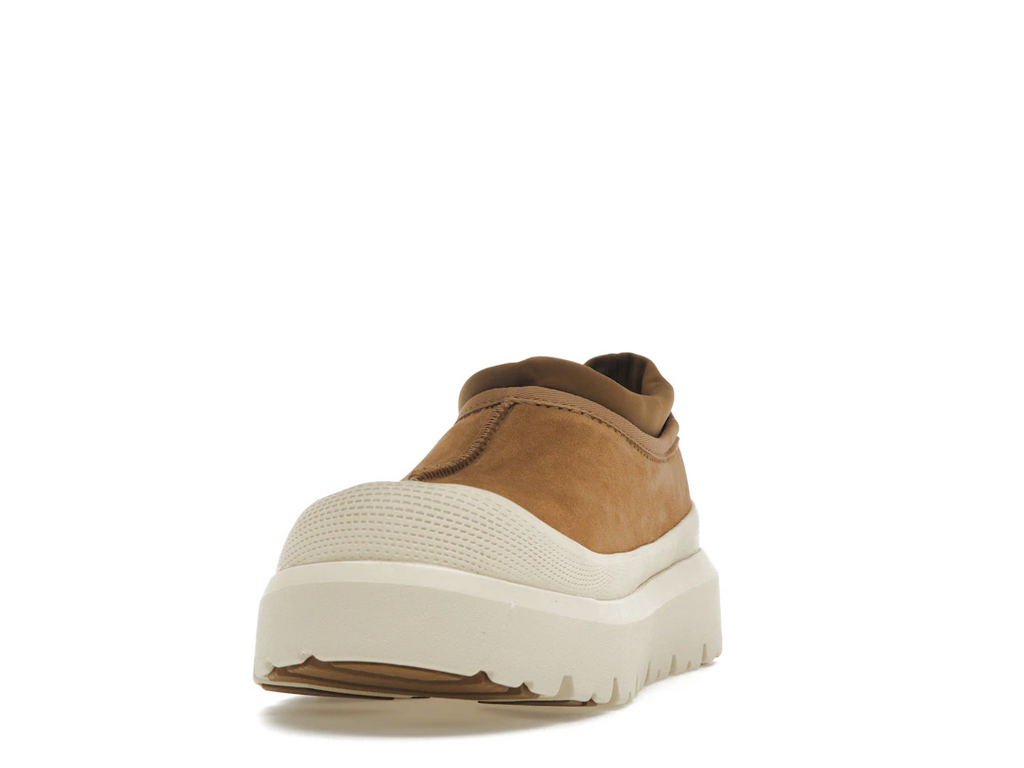 UGG Tasman Weather Hybrid Papuče Gaštanová Whitecap