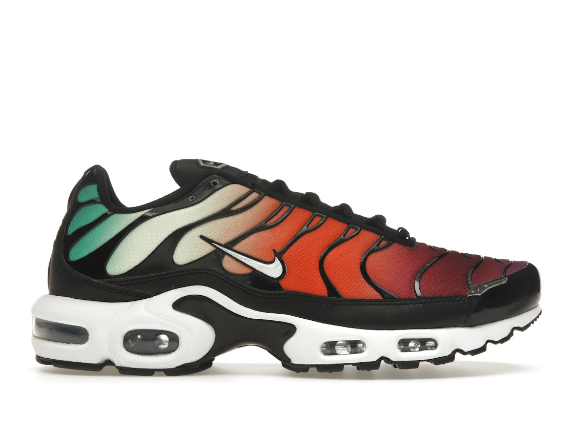 Nike Air Max Plus Rainbow (W)