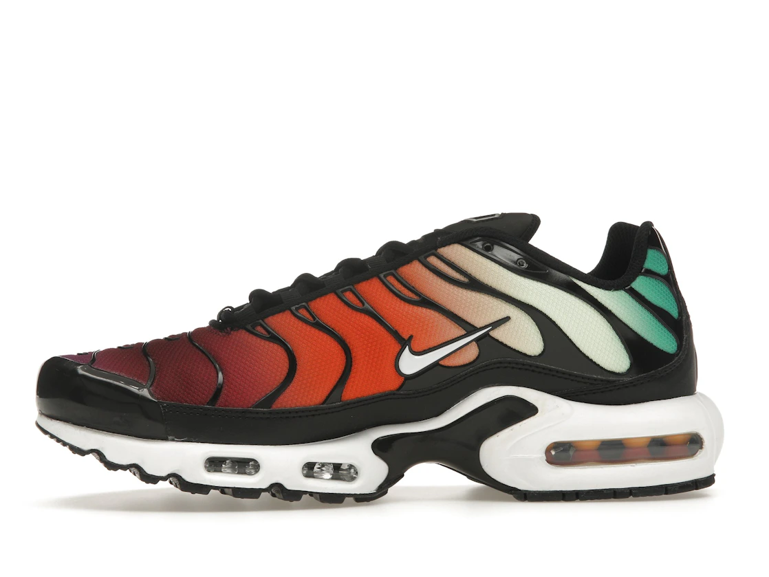 Nike Air Max Plus Rainbow (W)