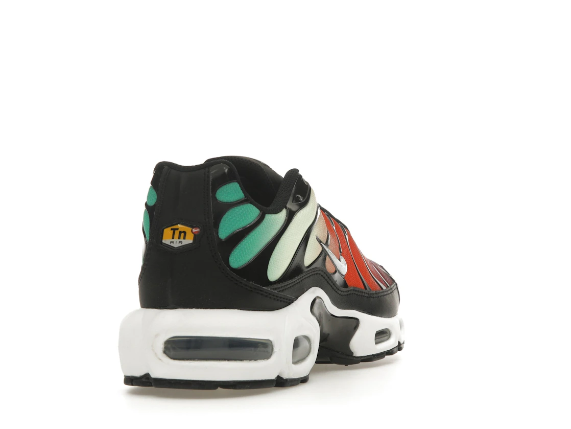 Nike Air Max Plus Rainbow (W)