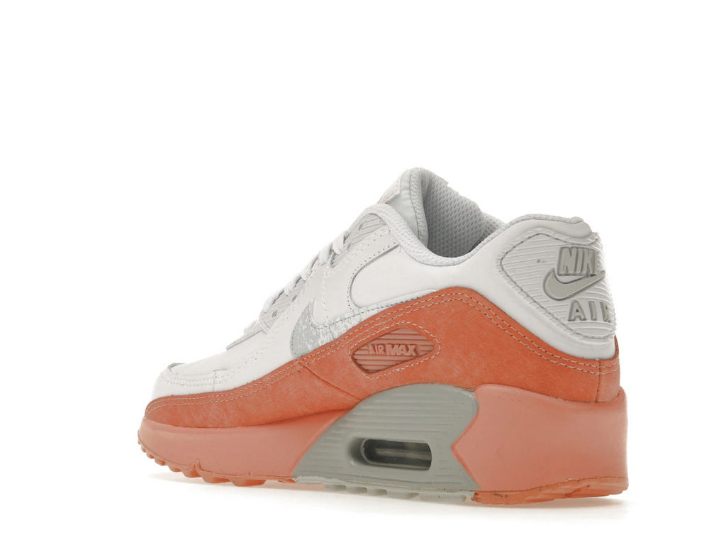 Nike Air Max 90 Leather Rainbow Salmon (GS)