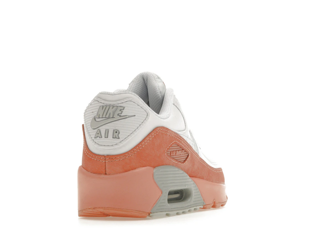 Nike Air Max 90 Leather Rainbow Salmon (GS)