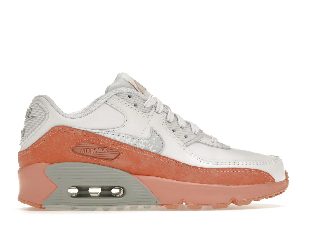 Nike Air Max 90 Leather Rainbow Salmon (GS)
