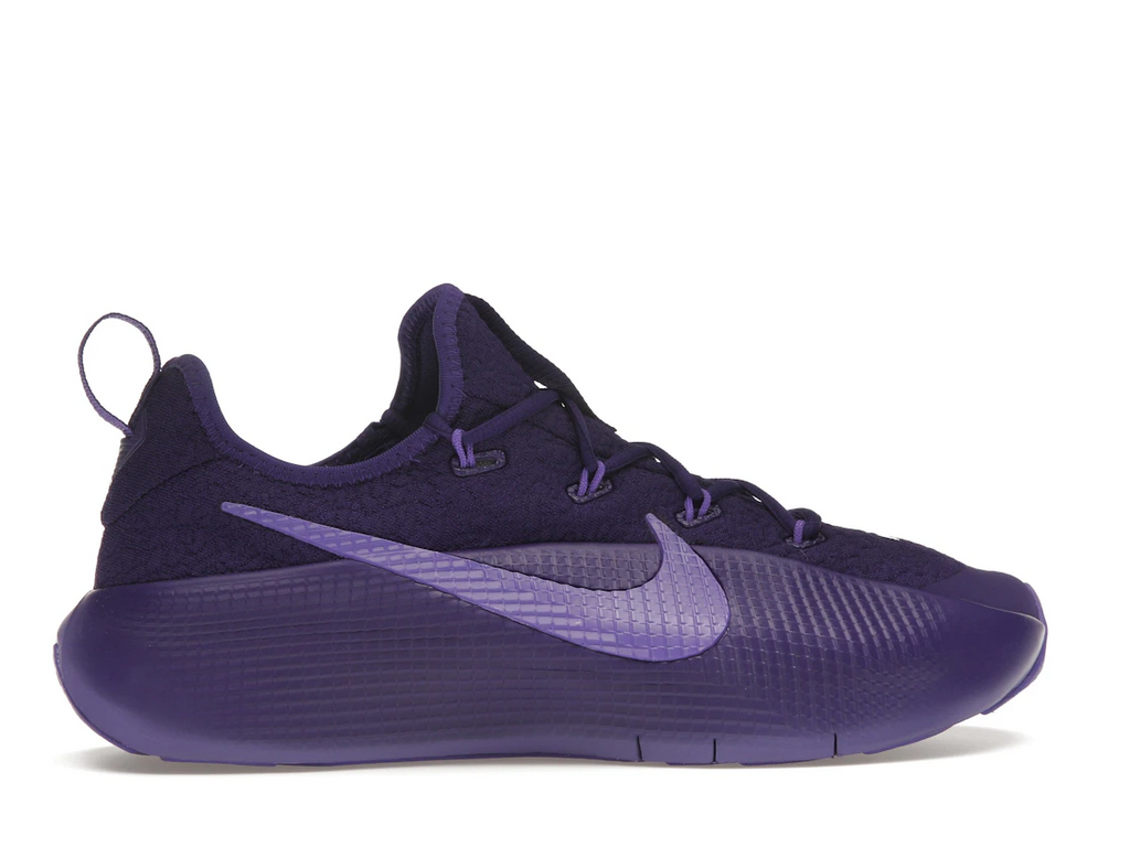 Nike LeBron TR 1 Purple Rain