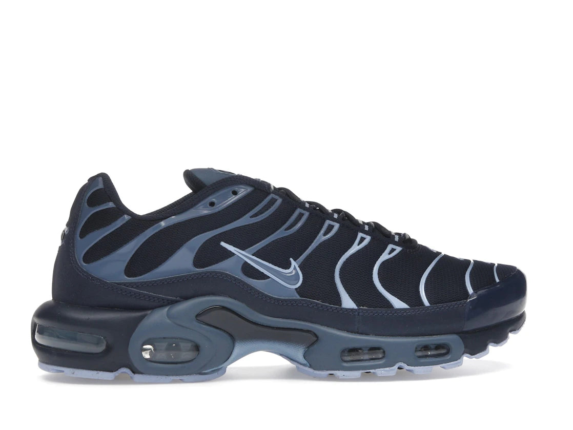 Nike Air Max Plus Obsidian Aluminum